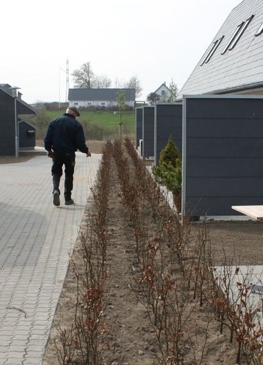 Beplantning af buske, træer, skov og hæk tilbydes i Vejle, Kolding, Fredericia og Vejen. Kontakt os i dag, hvis vi skal hjælpe dig.